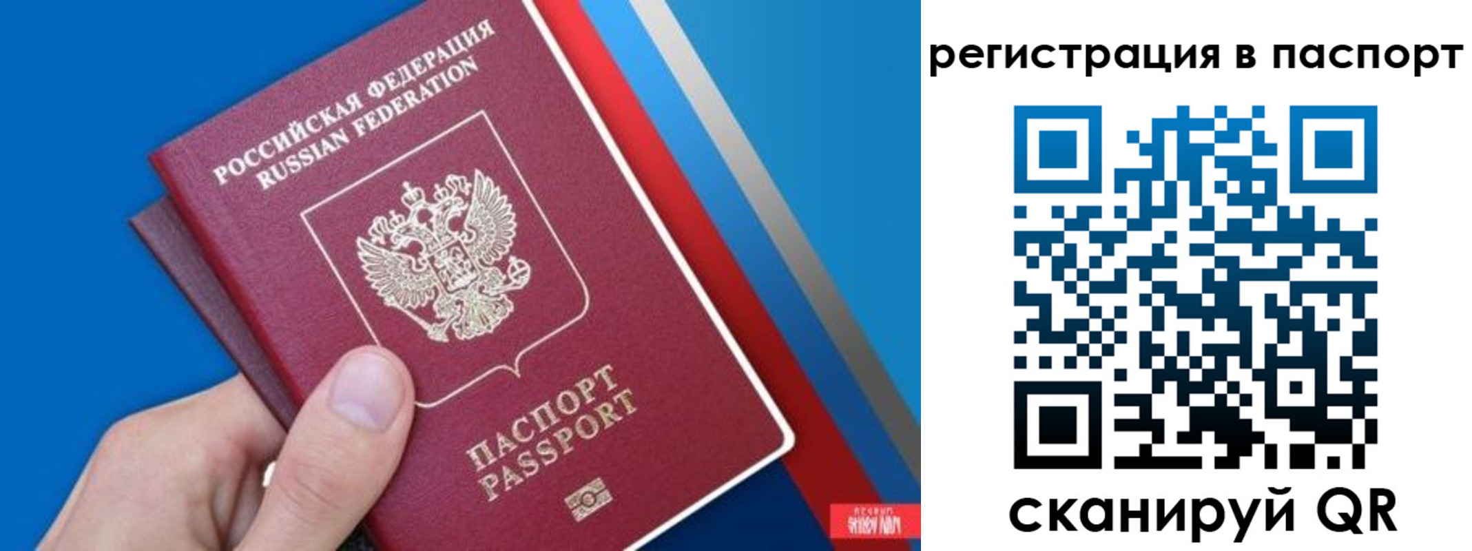 прописка для школы в Тейково